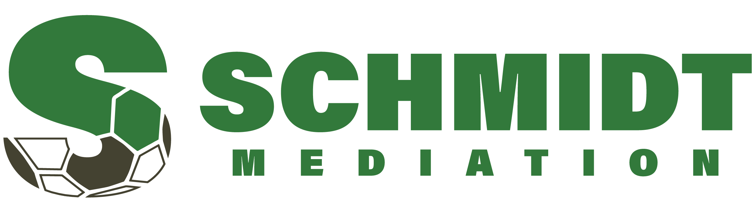 Schmidt Mediation